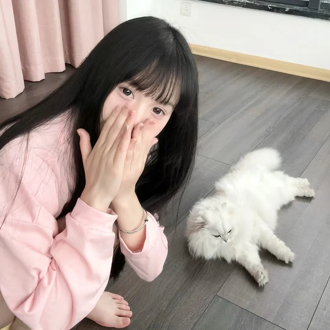 机智的山村生活